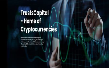 TrustsCapital website